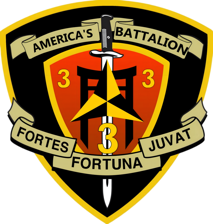 America's Battalion