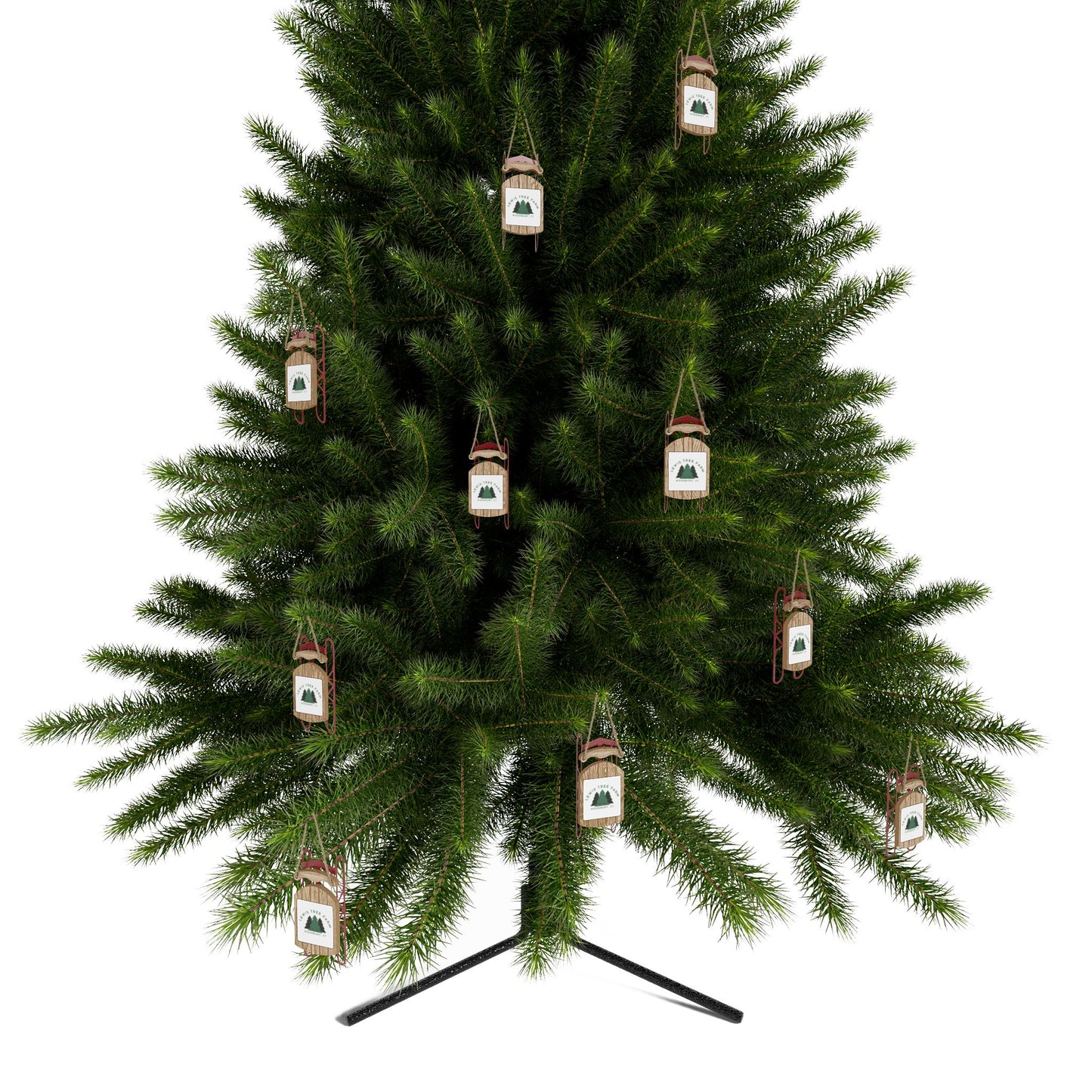LTF Sled Ornaments