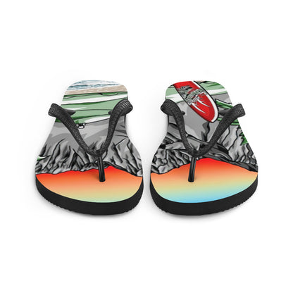 CLC 33 Flip-Flops