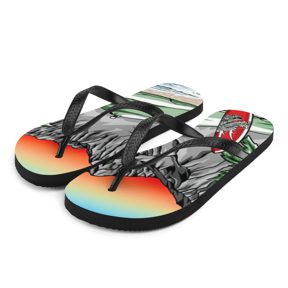 CLC 33 Flip-Flops