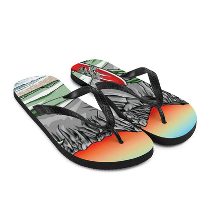 CLC 33 Flip-Flops