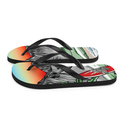 CLC 33 Flip-Flops