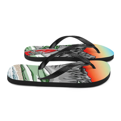 CLC 33 Flip-Flops